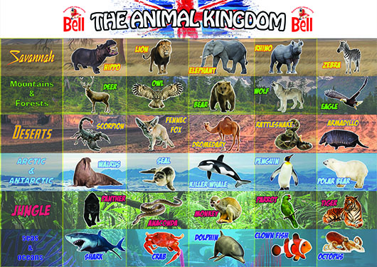 Animal Poster WEB